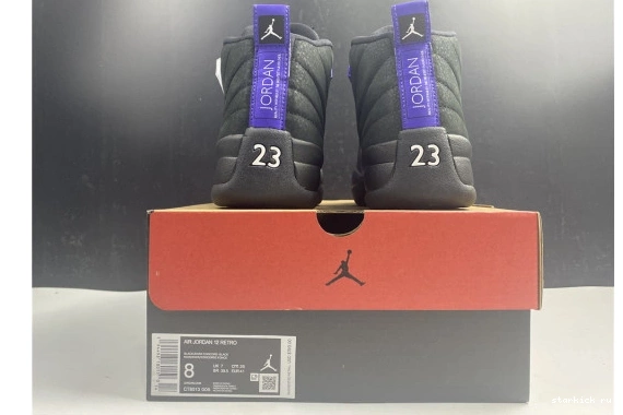 CT8013-005 12 Dark CT8013-005 Concord Air Black Jordan Retro 1031